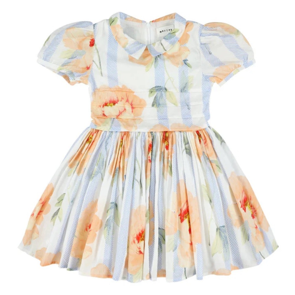 MORLEY NECTARINE SURI DRESS